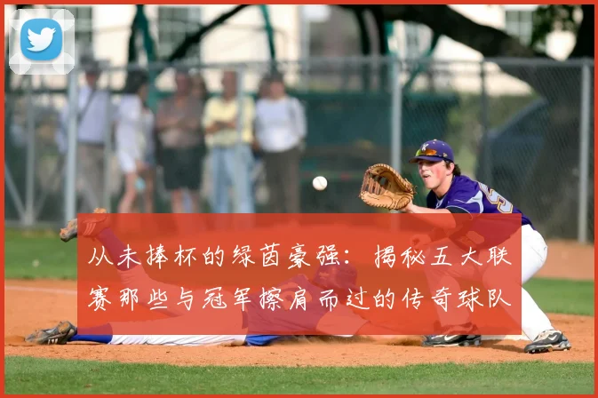 从未捧杯的绿茵豪强：揭秘五大联赛那些与冠军擦肩而过的传奇球队