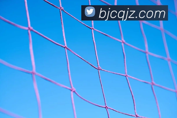 全球热力图